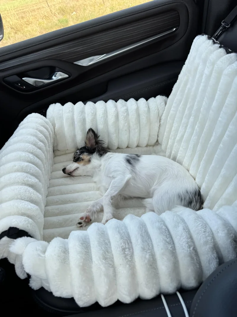 A small white dog sleeping in the cream ribbed seat in a car